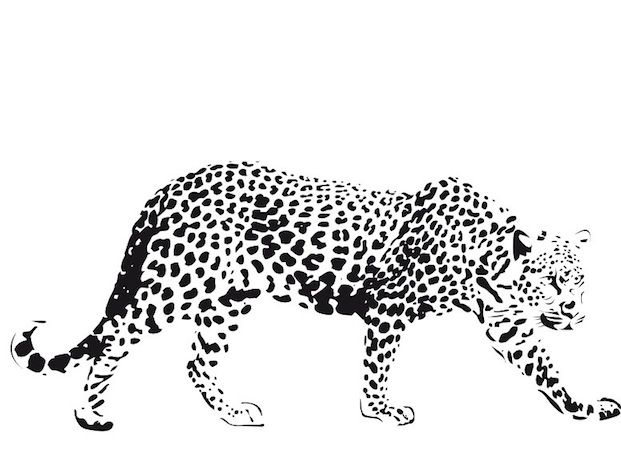 Coloring page: Cheetah (Animals) #7901 - Free Printable Coloring Pages