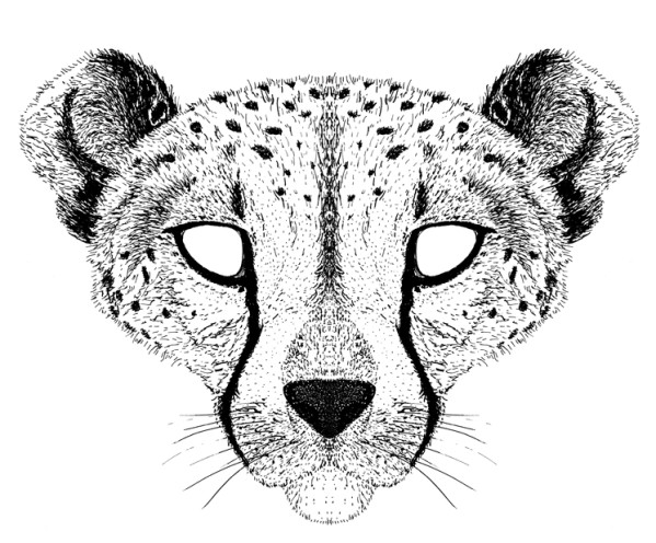 Coloring page: Cheetah (Animals) #7922 - Free Printable Coloring Pages