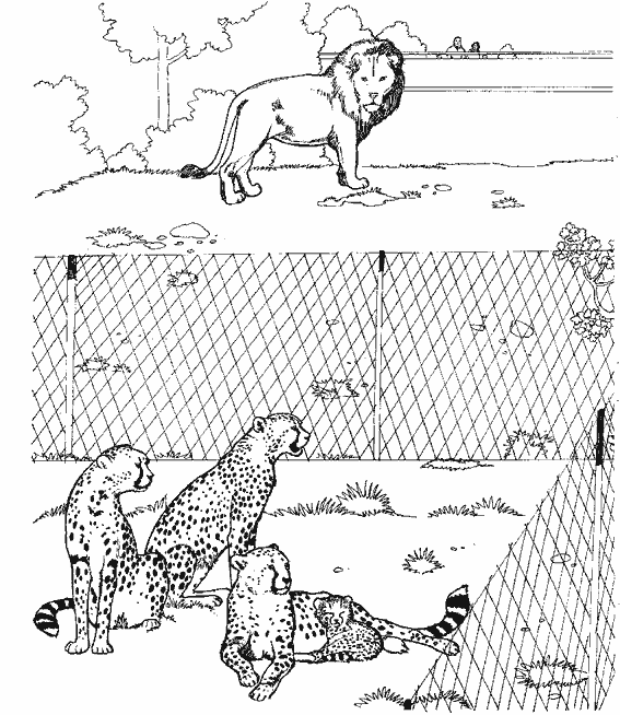 Coloring page: Cheetah (Animals) #7925 - Free Printable Coloring Pages