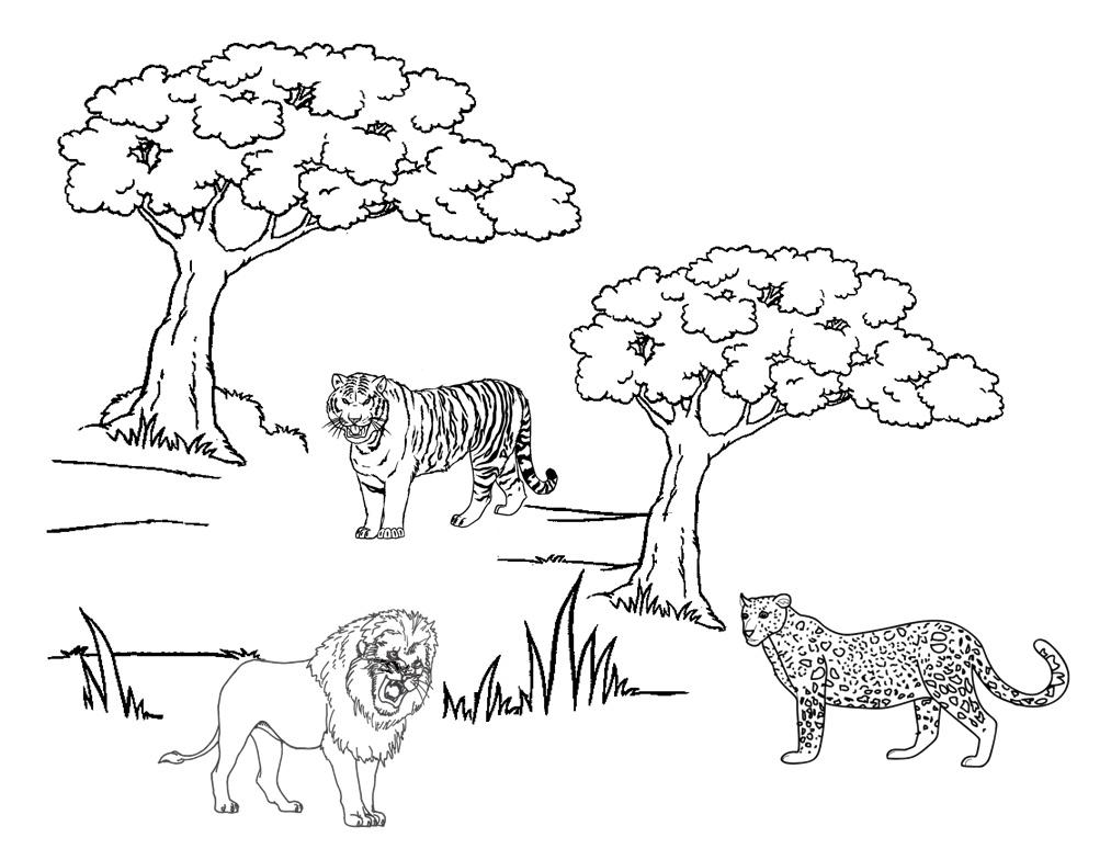 Coloring page: Cheetah (Animals) #8005 - Free Printable Coloring Pages
