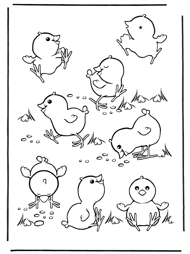 Coloring page: Chick (Animals) #15326 - Free Printable Coloring Pages