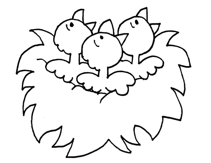 Coloring page: Chick (Animals) #15335 - Printable coloring pages