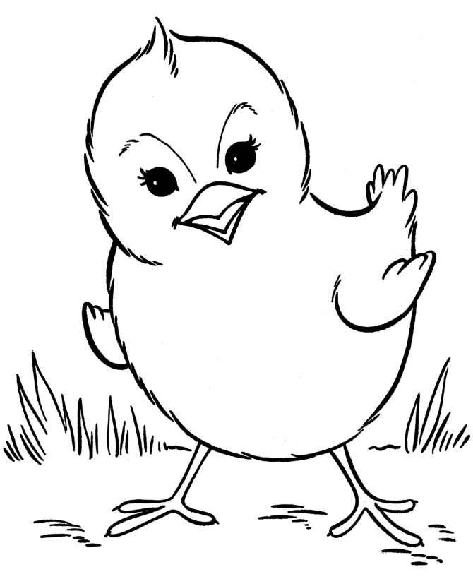 Coloring page: Chick (Animals) #15338 - Printable coloring pages