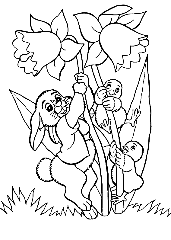 Coloring page: Chick (Animals) #15342 - Free Printable Coloring Pages