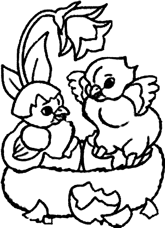 Coloring page: Chick (Animals) #15351 - Printable coloring pages