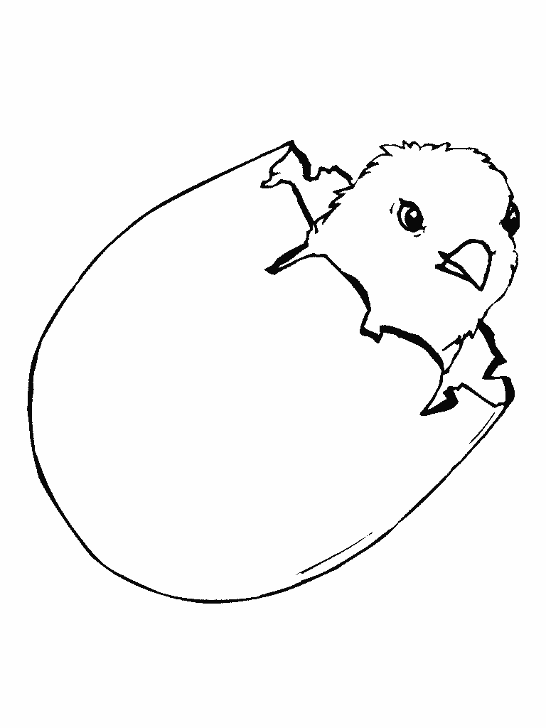 Coloring page: Chick (Animals) #15356 - Free Printable Coloring Pages