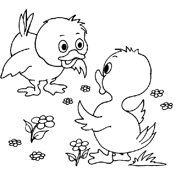 Coloring page: Chick (Animals) #15384 - Free Printable Coloring Pages