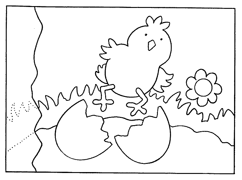 Coloring page: Chick (Animals) #15398 - Printable coloring pages