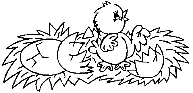 Coloring page: Chick (Animals) #15401 - Free Printable Coloring Pages
