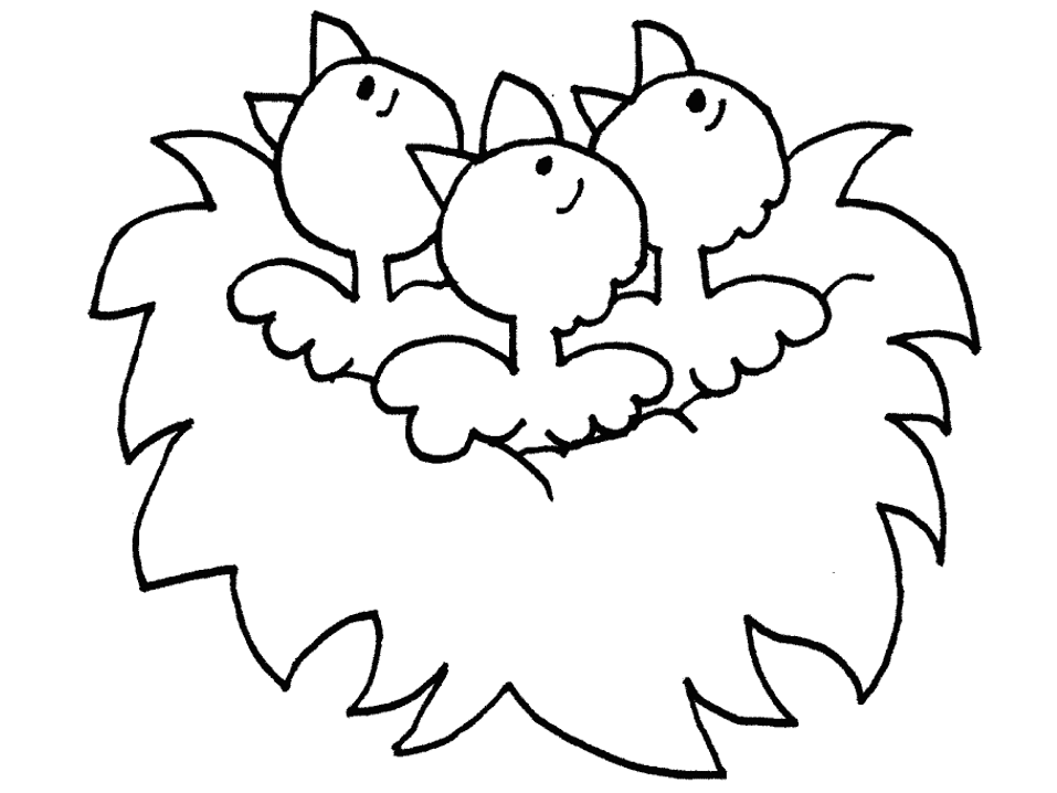 Coloring page: Chick (Animals) #15403 - Free Printable Coloring Pages