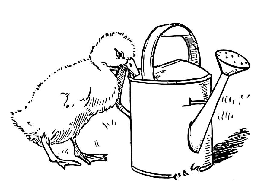 Coloring page: Chick (Animals) #15405 - Free Printable Coloring Pages