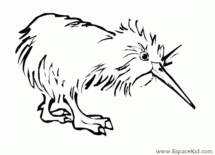Coloring page: Chick (Animals) #15406 - Free Printable Coloring Pages