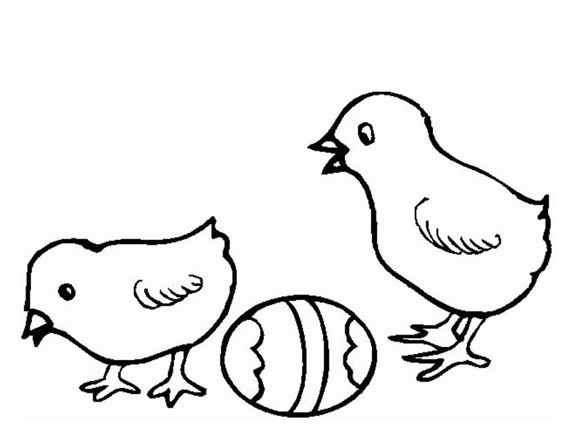 Coloring page: Chick (Animals) #15416 - Free Printable Coloring Pages