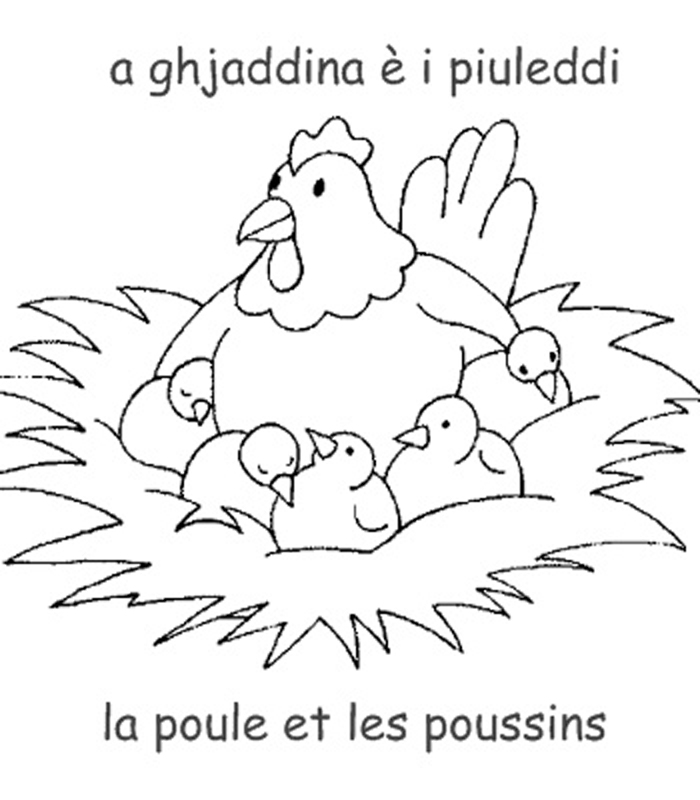 Coloring page: Chick (Animals) #15471 - Free Printable Coloring Pages