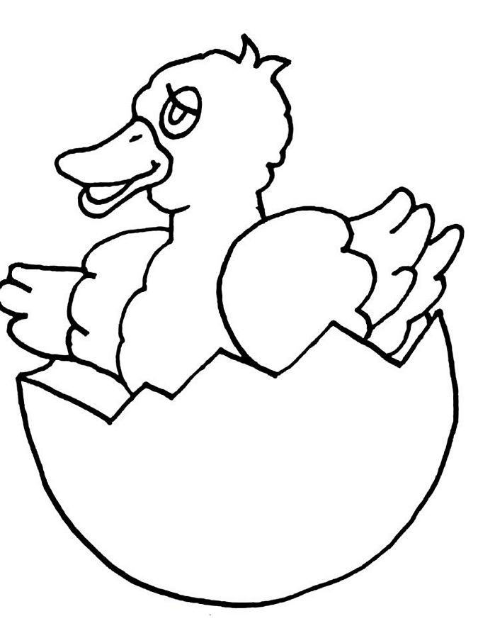 Coloring page: Chick (Animals) #15478 - Printable coloring pages
