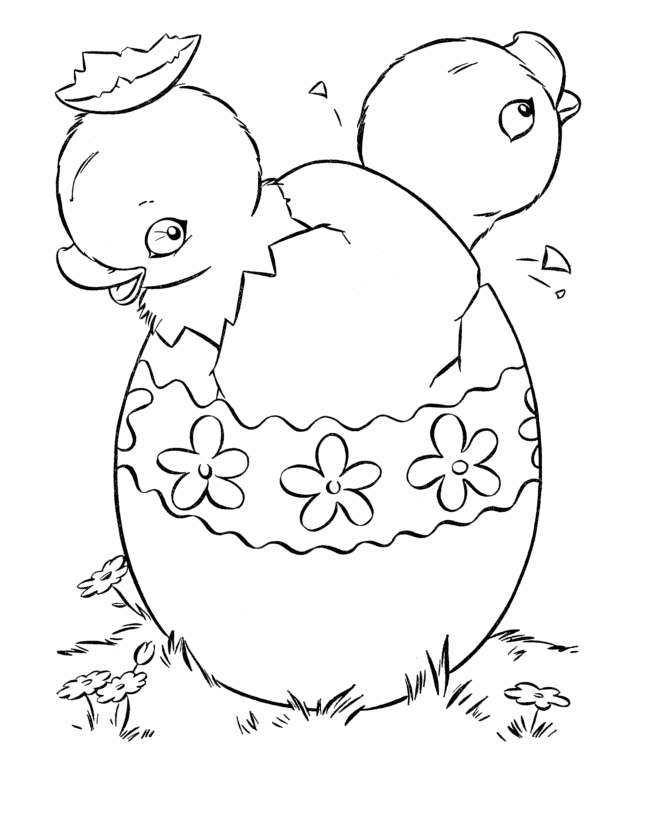Coloring page: Chick (Animals) #15483 - Free Printable Coloring Pages
