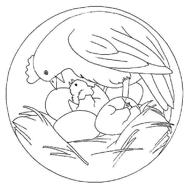 Coloring page: Chick (Animals) #15499 - Free Printable Coloring Pages