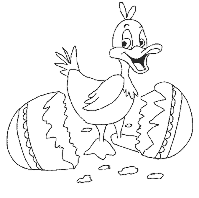 Coloring page: Chick (Animals) #15509 - Free Printable Coloring Pages