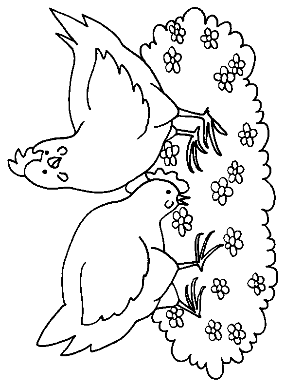 Coloring page: Chicken (Animals) #17272 - Free Printable Coloring Pages
