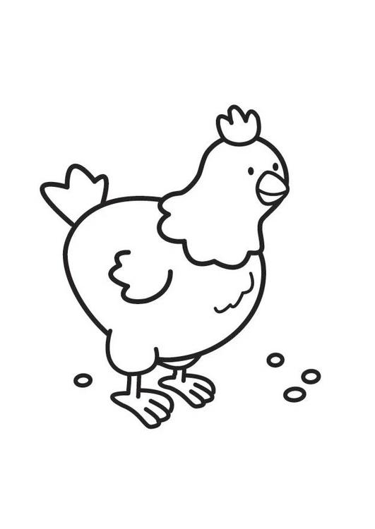 Coloring page: Chicken (Animals) #17279 - Free Printable Coloring Pages