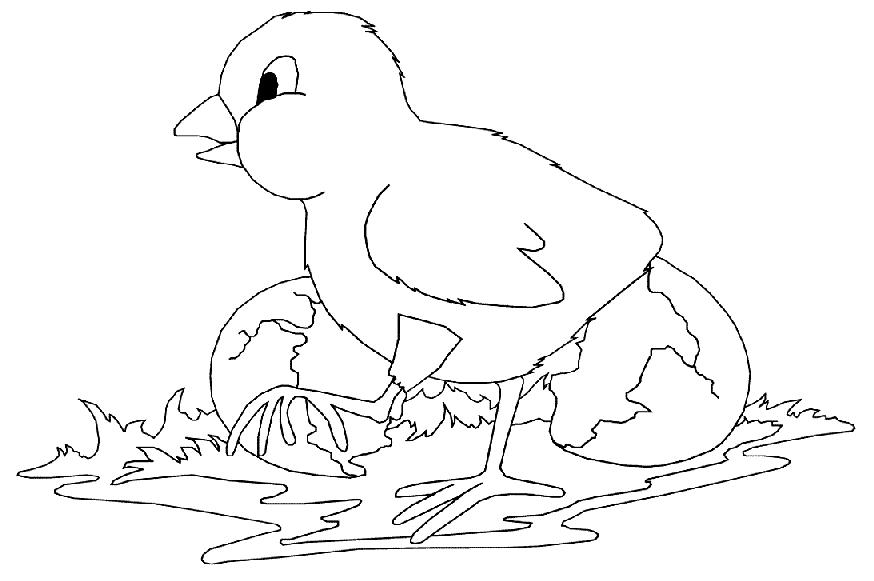 Coloring page: Chicken (Animals) #17282 - Free Printable Coloring Pages