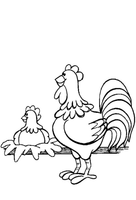 Coloring page: Chicken (Animals) #17309 - Free Printable Coloring Pages