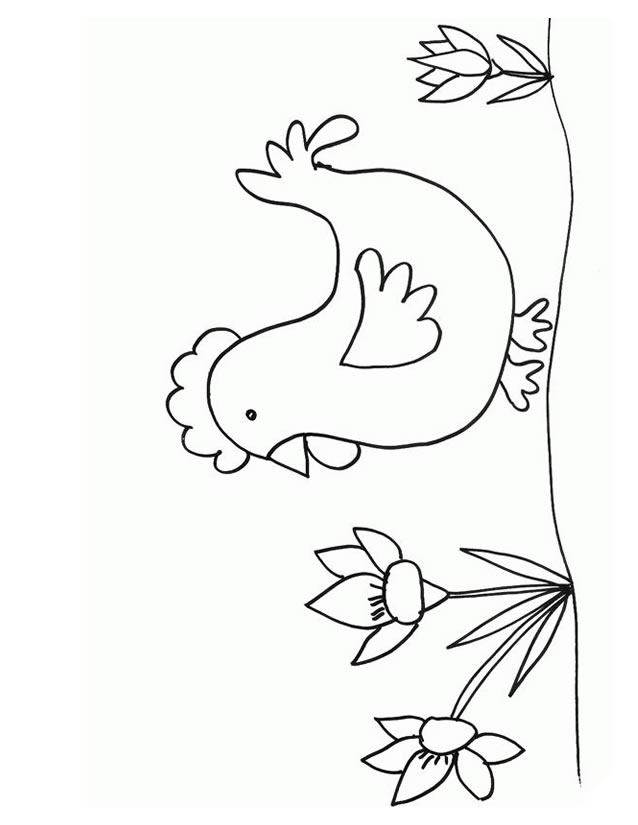 Coloring page: Chicken (Animals) #17316 - Free Printable Coloring Pages