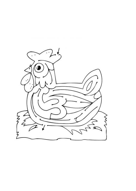 Coloring page: Chicken (Animals) #17327 - Free Printable Coloring Pages