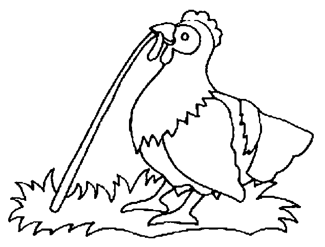 Coloring page: Chicken (Animals) #17342 - Free Printable Coloring Pages