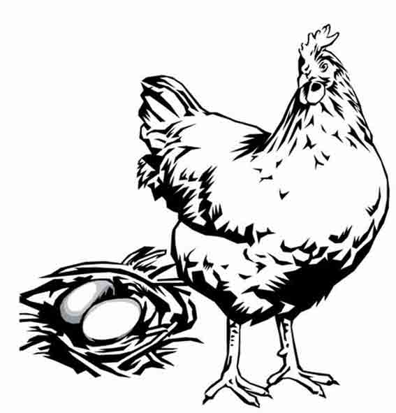 Download Chicken #17368 (Animals) - Printable coloring pages