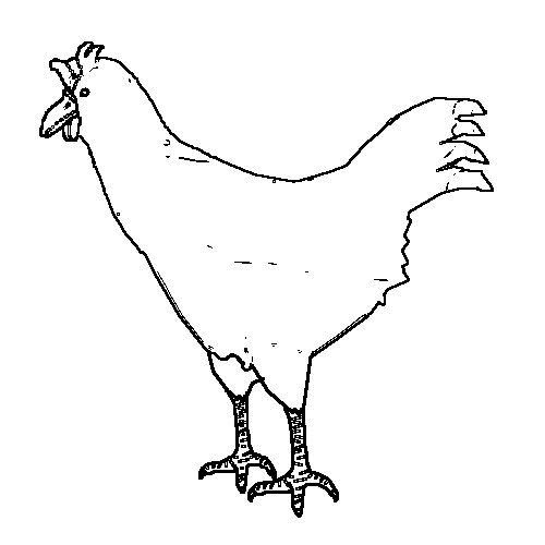 Coloring page: Chicken (Animals) #17377 - Free Printable Coloring Pages