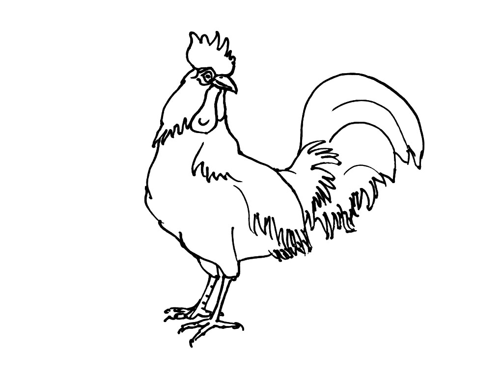 Coloring page: Chicken (Animals) #17383 - Free Printable Coloring Pages