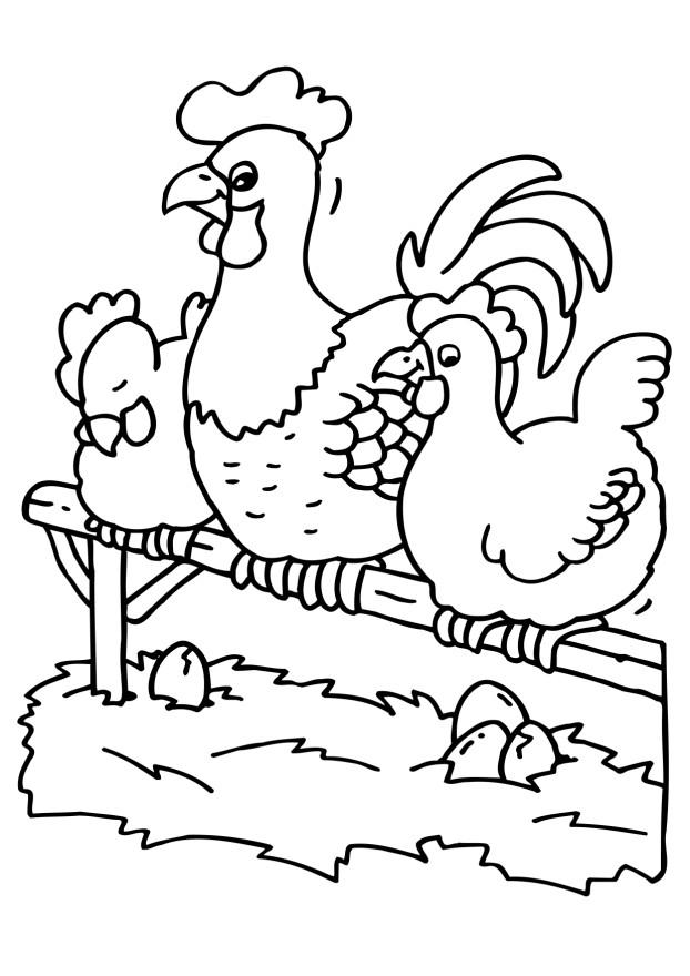 Coloring page: Chicken (Animals) #17392 - Free Printable Coloring Pages