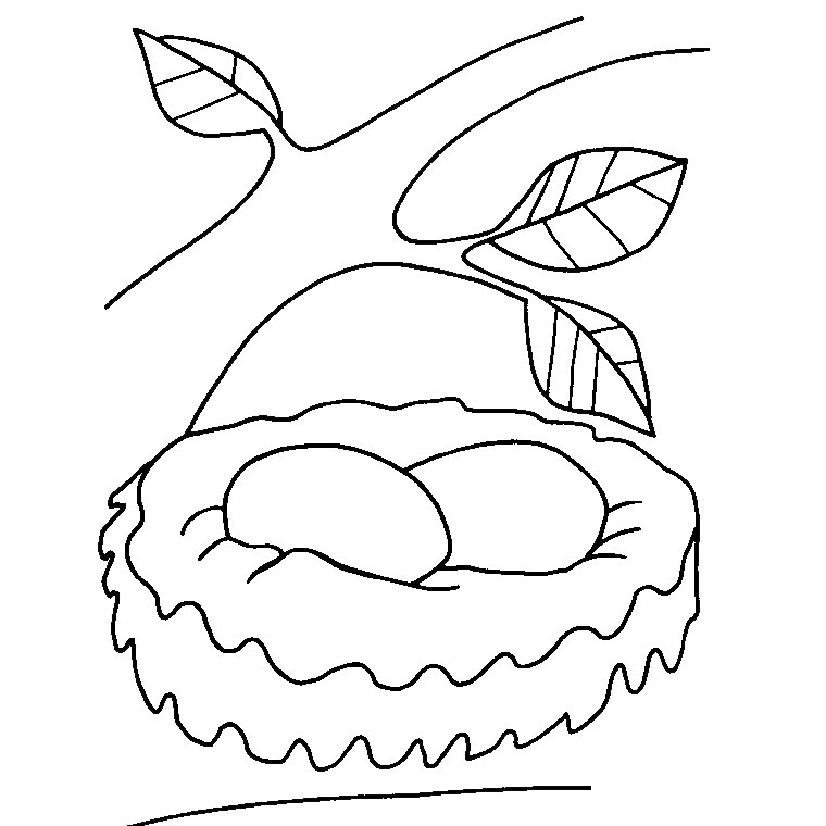Coloring page: Chicks (Animals) #20203 - Free Printable Coloring Pages