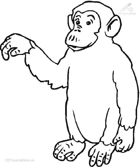 Coloring page: Chimpanzee (Animals) #2805 - Printable coloring pages