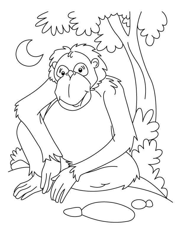 Coloring page: Chimpanzee (Animals) #2827 - Free Printable Coloring Pages