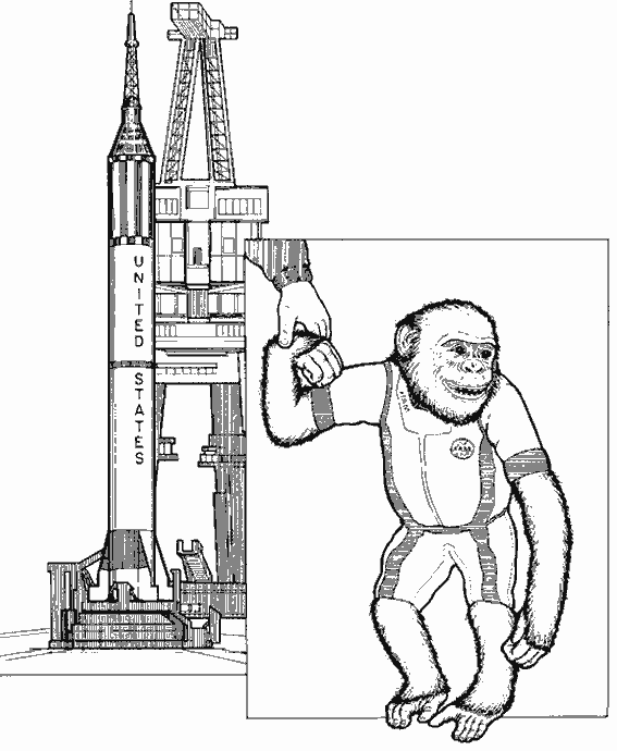 Coloring page: Chimpanzee (Animals) #2843 - Free Printable Coloring Pages