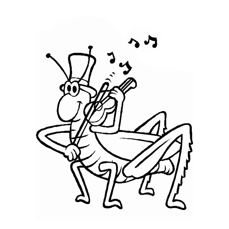 Cicada Animals Printable Coloring Pages