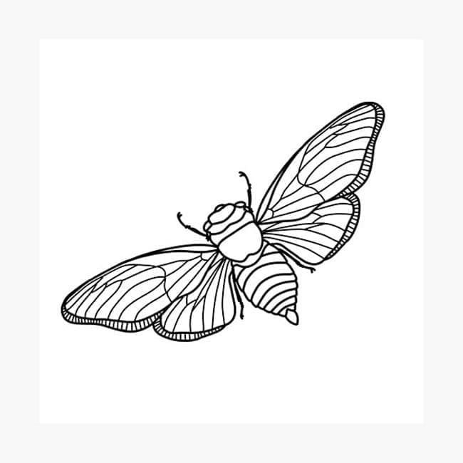 Free printable Cicada coloring page #187690 from Animals collection