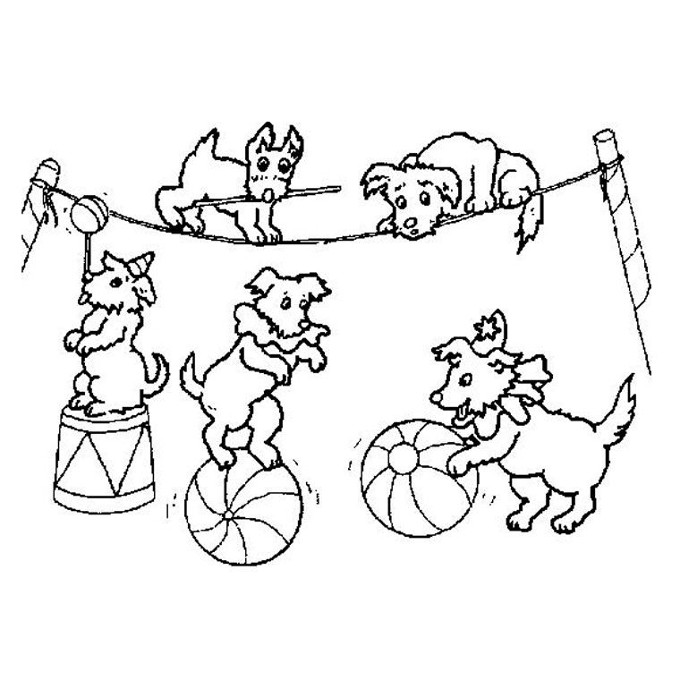 Coloring page: Circus animals (Animals) #20780 - Free Printable Coloring Pages