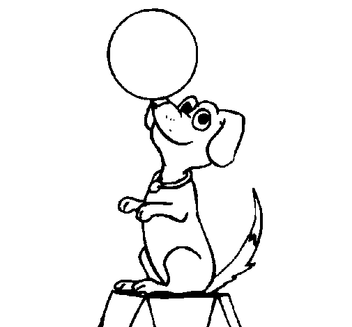 Coloring page: Circus animals (Animals) #20880 - Free Printable Coloring Pages