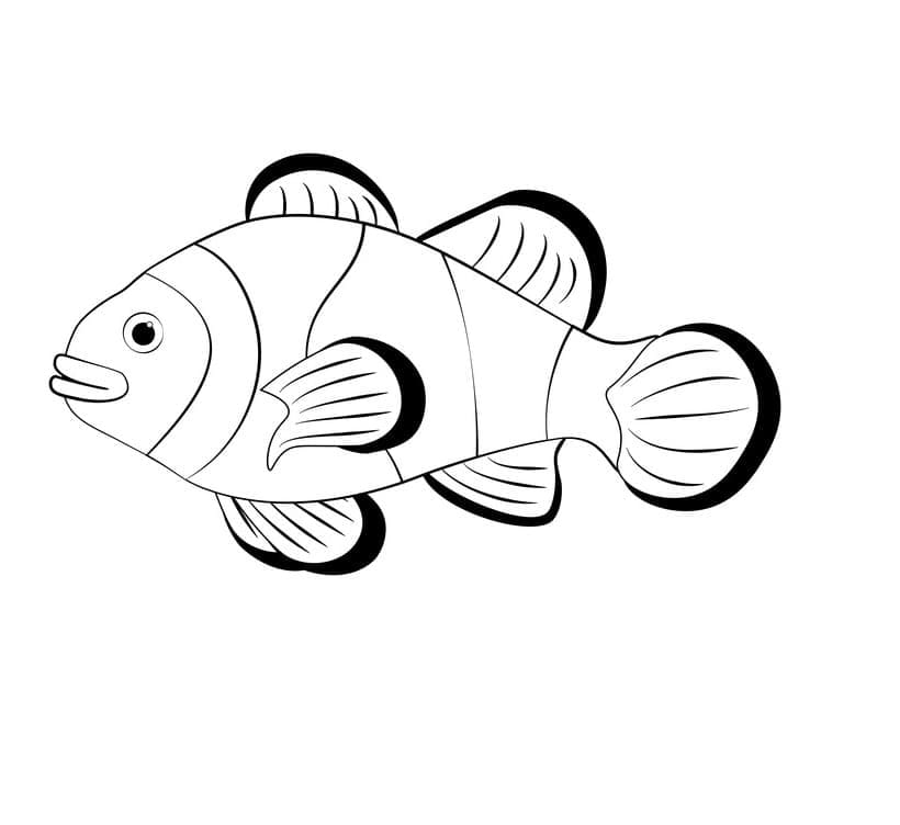 Free printable Clownfish coloring page #218321 from Animals collection