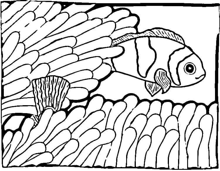 Free printable Clownfish coloring page #218325 from Animals collection