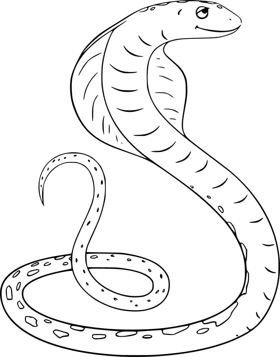 Free printable Cobra coloring page #212675 from Animals collection Free printable Cobra coloring page #212675 from Animals collection