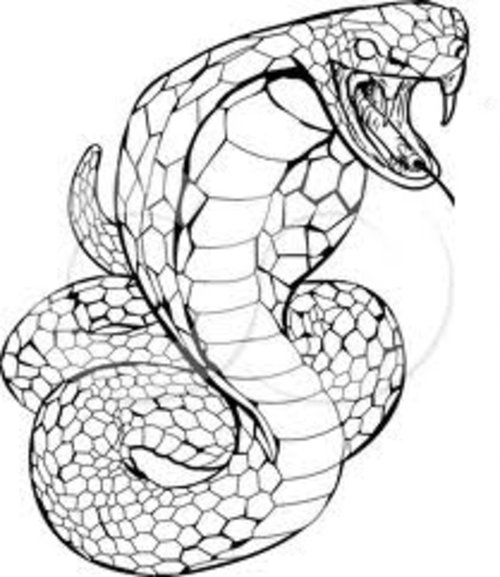 Coloring page: Cobra (Animals) #3220 - Free Printable Coloring Pages