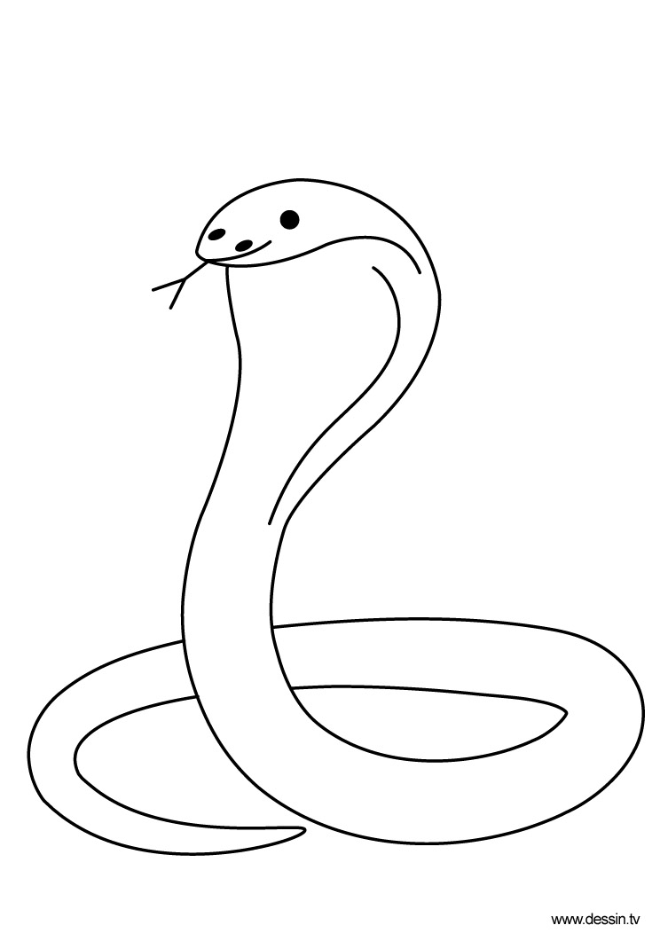 Coloring page: Cobra (Animals) #3227 - Free Printable Coloring Pages
