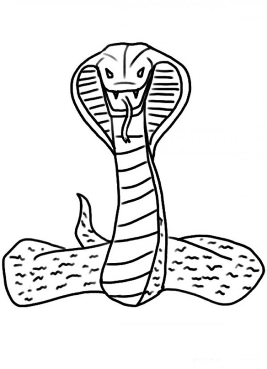 Coloring page: Cobra (Animals) #3228 - Free Printable Coloring Pages