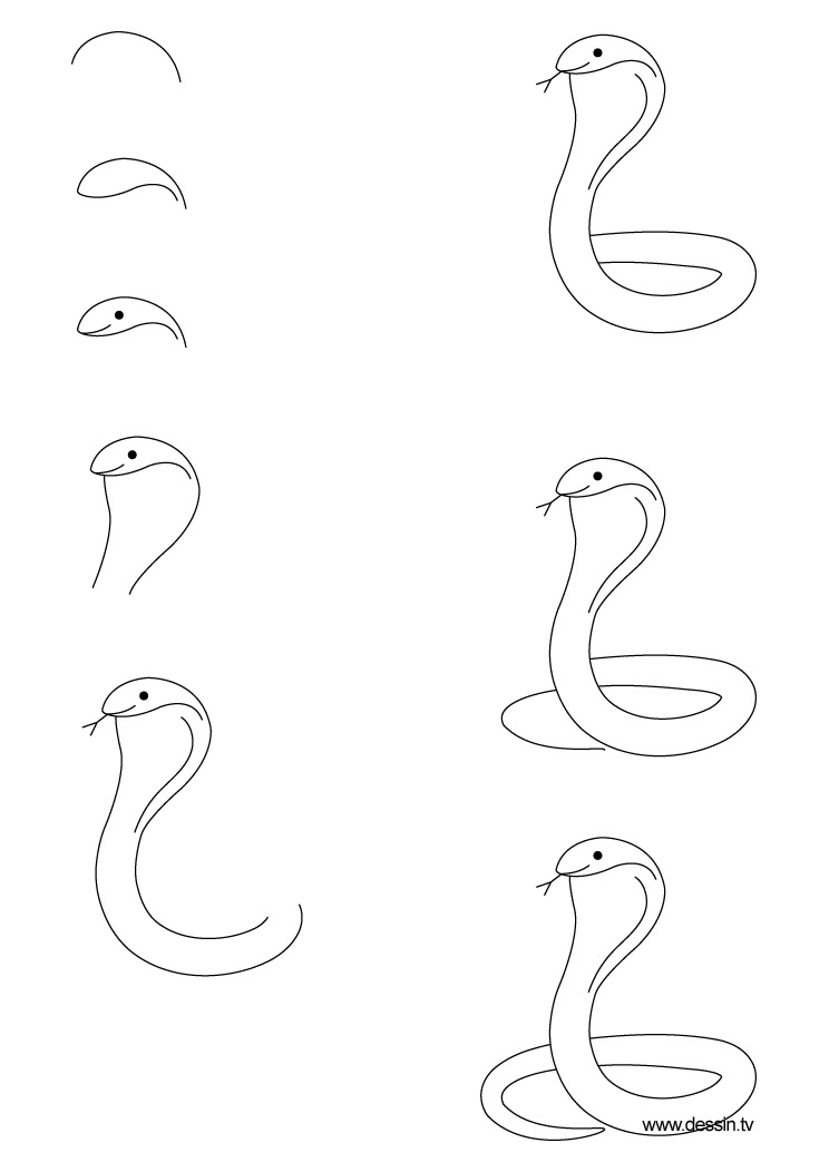 Coloring page: Cobra (Animals) #3375 - Free Printable Coloring Pages