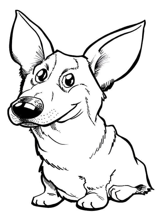 Free printable Corgi coloring page #220757 from Animals collection
