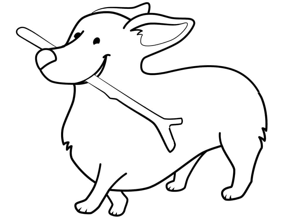 Free printable Corgi coloring page #220775 from Animals collection